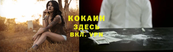молекула духа Арсеньев