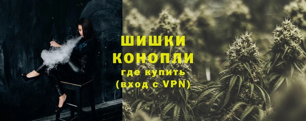 молекула духа Арсеньев